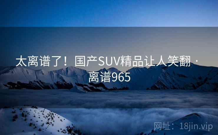 太离谱了!国产SUV精品让人笑翻 · 离谱965